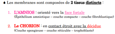Membranes Foetales.png