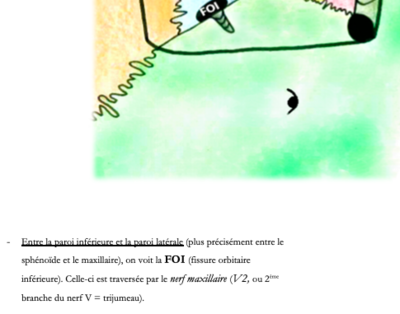Capture d’écran 2021-03-06 à 18.29.17.png