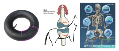 Capture d’écran 2021-03-06 à 19.43.19.png