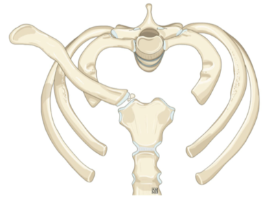 Capture d’écran 2021-03-06 à 18.58.38.png