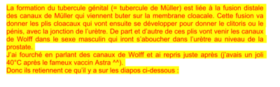 Capture d’écran 2021-03-06 à 21.58.10.png