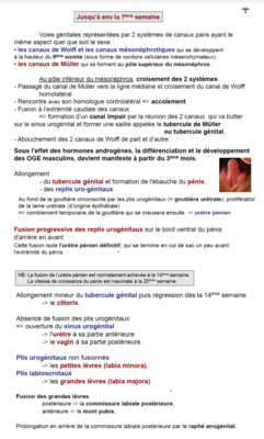 Capture d’écran 2021-03-06 à 21.58.21.png