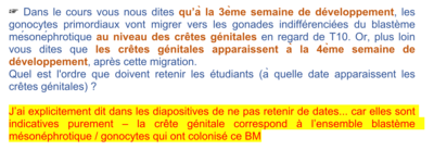 Capture d’écran 2021-03-06 à 22.02.03.png