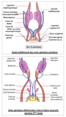 Capture d’écran 2020-09-07 à 17.09.52.png