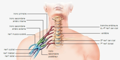 Capture d’écran 2021-03-07 à 19.32.49.png