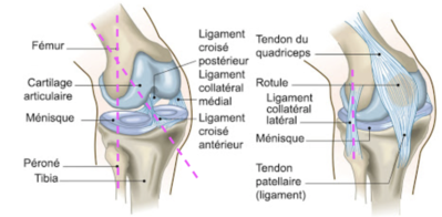 Capture d’écran 2021-03-07 à 21.03.25.png