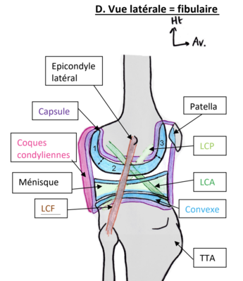 Capture d’écran 2021-03-07 à 21.47.37.png