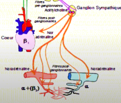 Capture d’écran 2021-03-09 à 15.42.40.png