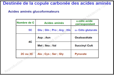 AA glucoformateurs.png
