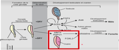 Capture d’écran 2021-03-11 à 20.34.36.png