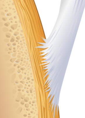 Capture d’écran 2021-03-13 à 14.07.56.png
