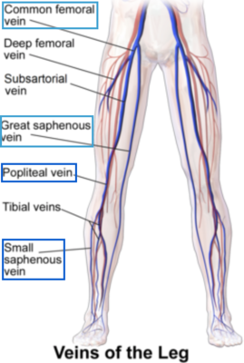 Capture d’écran 2021-03-13 à 22.49.47.png