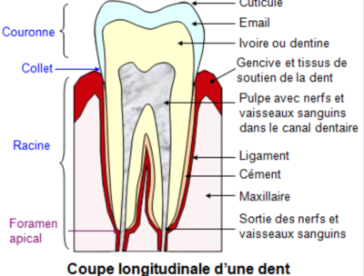 Capture d’écran 2021-03-14 à 09.08.24.png