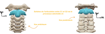 Capture d’écran 2021-03-14 à 17.48.24.png
