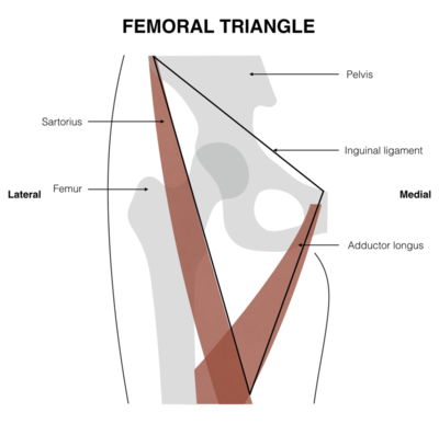 Capture d’écran 2021-03-14 à 19.37.35.png