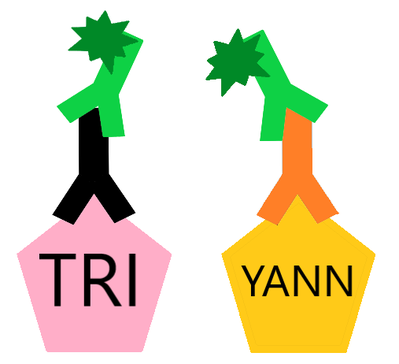 Impossibilité 1.png