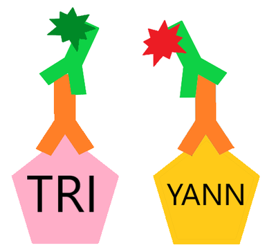 Impossibilité 2.png