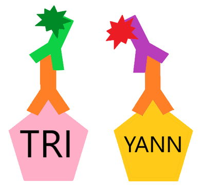 Impossibilité 3.png