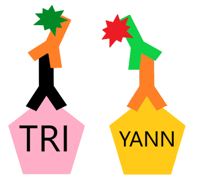 Impossibilité 5.png