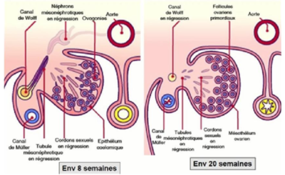 Capture d’écran 2021-03-15 à 18.55.19.png
