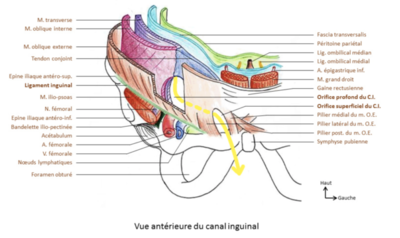 Capture d’écran 2021-03-15 à 19.59.51.png