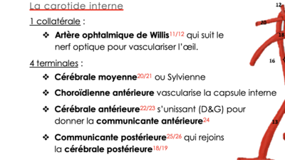 Capture d’écran 2021-03-15 à 22.14.13.png