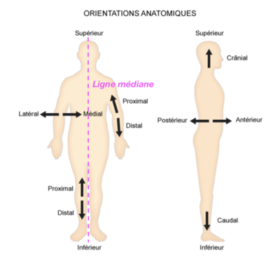 Capture d’écran 2021-03-16 à 18.21.09.png