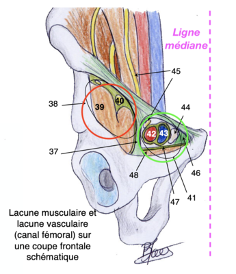 Capture d’écran 2021-03-16 à 18.22.26.png