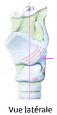 Capture d’écran 2021-03-17 à 19.19.16.png