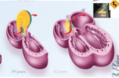 Capture d’écran 2021-03-18 à 10.20.46.png