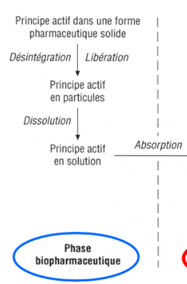 Capture d’écran (397).png