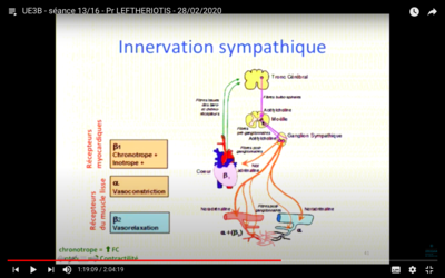 Capture d’écran 2021-03-19 à 18.06.12.png