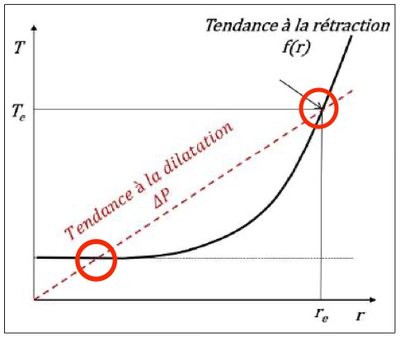 vaisseaux musculo élastiques.jpg