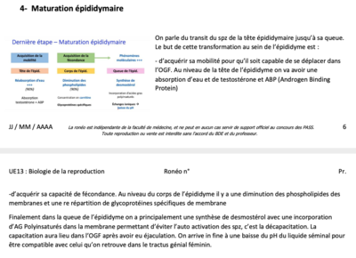 Capture d’écran 2021-03-20 à 17.35.32.png