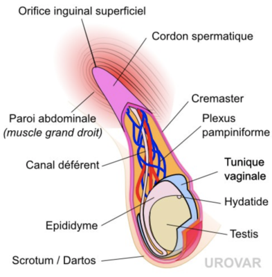 Capture d’écran 2021-03-22 à 20.36.06.png