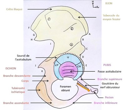 Image 22-03-2021 à 23.54.jpg