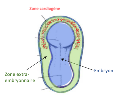 Capture d’écran 2021-03-23 à 20.48.12.png