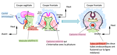 Capture d’écran 2021-03-24 à 10.22.09.png