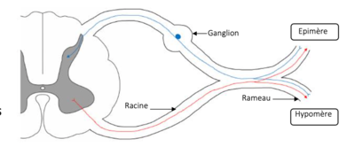 Capture d’écran 2021-03-24 à 16.11.49.png