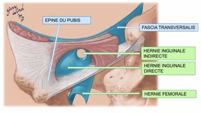Capture d’écran 2021-03-24 à 16.44.28.png