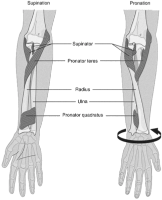 Capture d’écran 2021-03-25 à 00.30.15.png