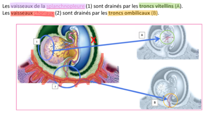 Capture d’écran 2021-03-25 à 14.36.10.png