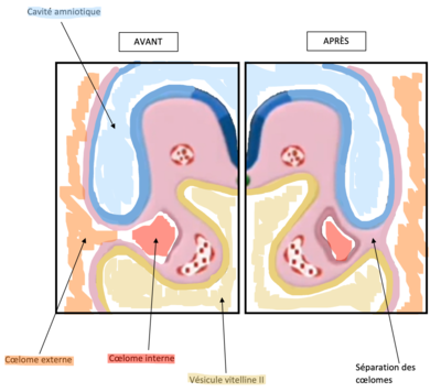 Capture d’écran 2021-03-25 à 15.39.43.png