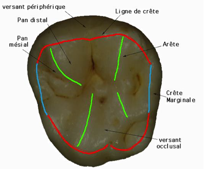 arêtes crêtes.png