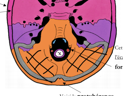 Ouvrir ÉPISODES 4&5 PORTRAIT normal.png