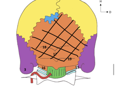 Ouvrir ÉPISODES 1&2 PORTRAIT normal.png