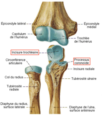 Capture d’écran 2021-03-27 à 18.27.23.png