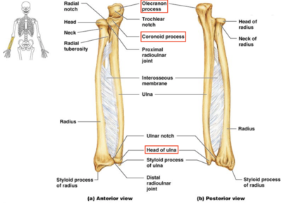 Capture d’écran 2021-03-27 à 18.33.55.png