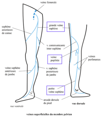 Capture d’écran 2021-03-27 à 19.30.21.png