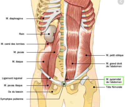 Capture d’écran 2021-03-27 à 19.44.13.png